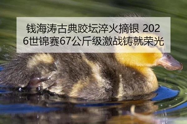 钱海涛古典跤坛淬火摘银 2026世锦赛67公斤级激战铸就荣光